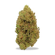 Williams Wonder - Blue Suede Zookies #1