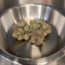 CMS Garden | Blue Gas Can | Deli Style