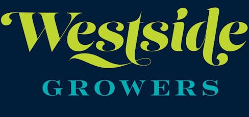 Georgia Kush Preroll 2 Pack - 1g