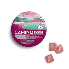 Camino Sours Watermelon Spritz Gummies 100mg (10-Pack | 10mg Each)