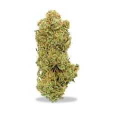 Gaia's Ganja Garden - Pineapple Aloha