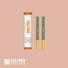 STX - Governmint Oasis 2pk Pre-Roll .5g