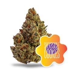 Sherbsicle Cookies Flower 3.5g