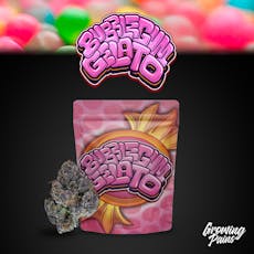 Bubblegum Gelato