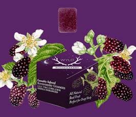 Gummies - BOYSENberry Indica - 1:1:1 (THC:CBD:CBN) - 20 Pcs - 100mg
