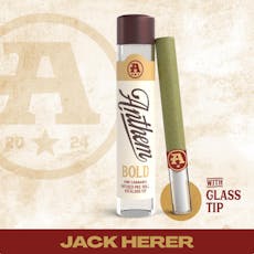 Anthem | Bold | Glass Tip Preroll | Jack Herer 1g