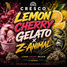 Cresco Lemon Cherry Gelato x Z-Animal