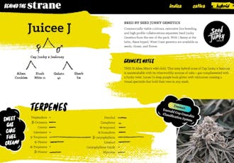 Strane | Juicee J | 3.5g Pre Packed