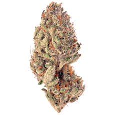 Silver Shelf - Slurricane (I)