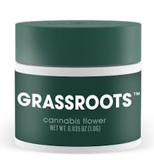 Connoisseur Shelf Grassroots Novarine (S) 1g