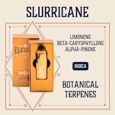 Slurricane | Botanical Min-E-Bar 1g