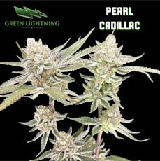 Pearl Cadillac Smalls 3.5g