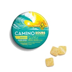 Camino - Sour Tropical Burst (2:1 THCV) Edible 100mg