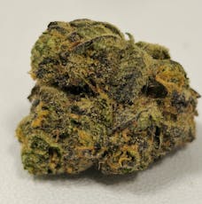 Canal Street Runtz | High Supply | Buds | 7g