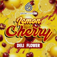 LEMON CHERRY by GROW SCIENCES