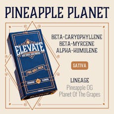 ELEVATE - PINS - PREROLL - 0.5G - 10PK - PINEAPPLE PLANET - SATIVA