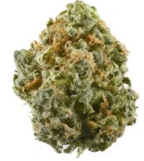 Silver Shelf - AlaskaTF x Colombian Cold (S)