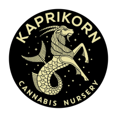 Kaprikorn Trapzilla Infused Pre-Roll 2pk