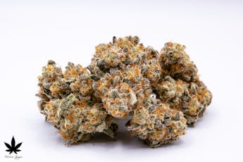 Prepack | Sticky Rice