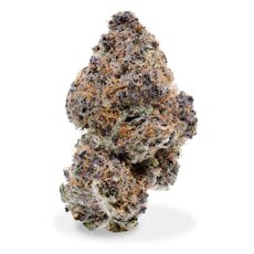 Crop Shop - Trop Cherry