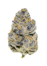 PH Blueberry Sin Mint 7g Pre-Pack