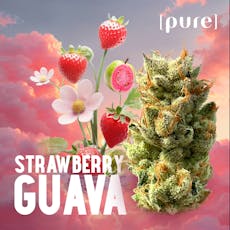 Strawberry Guava Flower - Deli