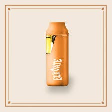 Berry Frost | Disposable