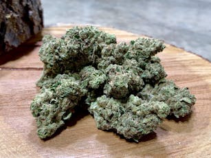 Gud Gardens Sungrown Black Ink