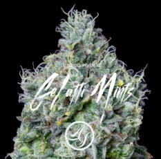 Flower: Gelatti Mints