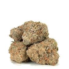 Golden Goat - 198 - Shake Special #1