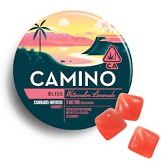 CAMINO - 5:5 THC:CBD WATERMELON LEMONADE 20PK 1000MG
