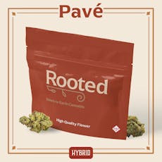 ROOTED - PREPACK - 14G - PAVÉ - HYBRID