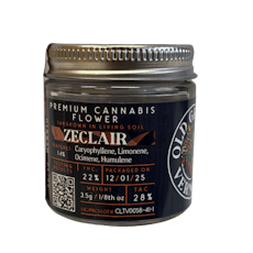 Zeclair | Old Growth Vermont | Outdoor