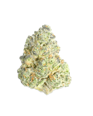 First Class Funk Flower by Glorious Cannabis Co.