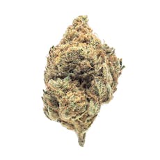 Gold Shelf - Blue Raz (H)