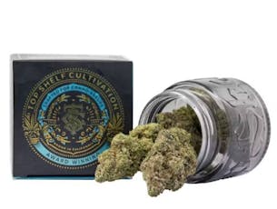 Top Shelf 3.5g H Dreamwalker OG