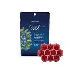 Sour Blueberry 100mg 1;1 One - Wyld