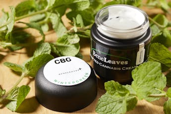BeneLeaves | Wintergreen CBG | 295mg Lotion