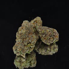 Mimosa by Grown Rogue