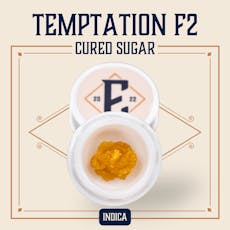 ELEVATE - SUGAR - 2G - TEMPTATION F2 - INDICA