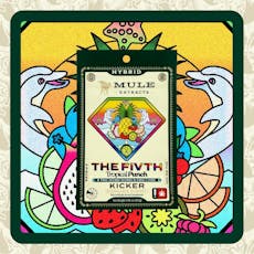 Edibles: Mule Extracts: Tropical Punch: 2 pack: 100mg THC: 100mg CBD: 100mg CBN: 100mg CBG: 100mg CBC