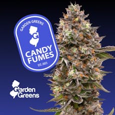 Garden Greens | Candy Fumes I 3.5 g