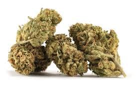 Plum Dosi Delight - Lionheart Cannabis