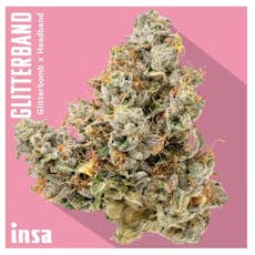 Insa | Glitterband | 14g