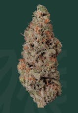 Local Roots | Pura Vida | 3.5g