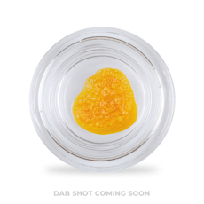 Altered Alchemy - Frosted Churro Live Resin - 1g