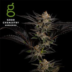 Good Chem - Flower 3.5g Sativa; Peach Maraschino