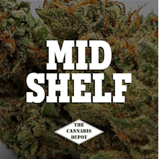 Dr Jekyll | Mid Shelf Flower | (S) Hercules