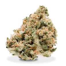 Focus North - Fire OG