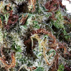 Novarine Smalls 3.5g (T2)